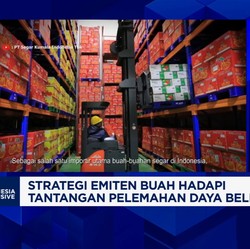 Video: Dolar AS Perkasa, Importir Buah Transaksi Pakai Mata Uang Lokal