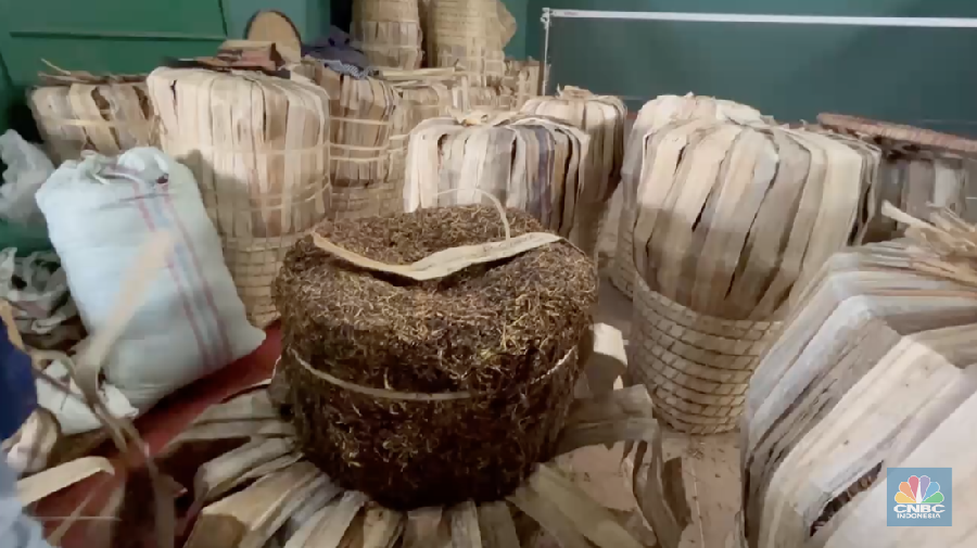 Seorang petani tembakau menata tembakaunya untuk disimpan di gudang penyimpanan di Temanggung, Jawa Tengah, Selasa (17/6/2025). Seorang petani tembakau menata tembakaunya untuk disimpan di gudang penyimpanan di Temanggung, Jawa Tengah, Selasa (17/6/2025). (CNBC Indonesia/Tasya Natalia)