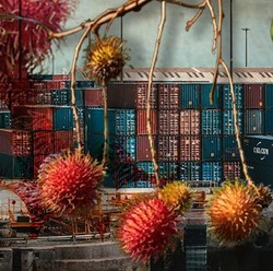 Gak Disangka! Warga AS Berani Bayar Rambutan Rp 500.000/Kg