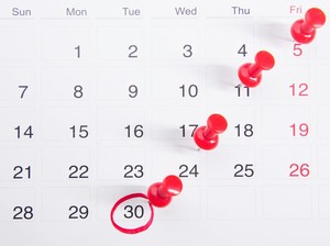 Tanggal 19 Juni 2025 Memperingati Hari Apa? Terdapat 6 Peringatan Menarik!