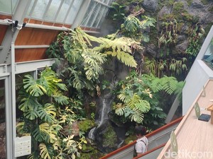 Tempat Nongkrong Unik di SCBD, Santai di Hutan Dalam Rumah Kaca