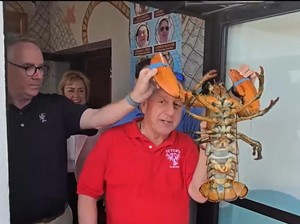 Resto Ini Lepaskan Maskot Lobster Berusia 110 Tahun ke Laut