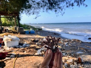 Sampah Pantai Bangsring Berserakan di Tengah Gerakan Wisata Bersih