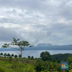 Konkret! Begini Cara Vale Berbisnis Tambang dan Tetap Jaga Lingkungan