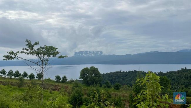 Konkret! Begini Cara Vale Berbisnis Tambang dan Tetap Jaga Lingkungan