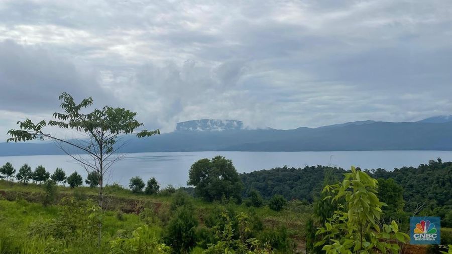 Danau Matano belokasi di Kabupaten Luwu Timur, Sulawesi Selatan, tepatnya di ujung timur provinsi dan berbatasan dengan Sulawesi Tengah. Danau Matano berada di area tambang PT. Vale Indonesia (Persero) Tbk, (INCO). Perusahaan tambang yang komitmen untuk menjaga kelestarian danau serta lingkungannya. (CNBC Indonesia/Romys Binekasari)