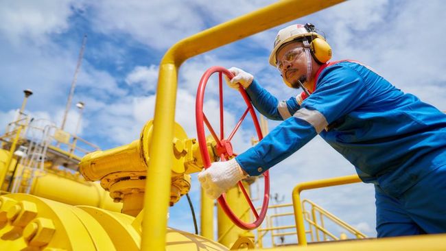 Amankan Pasokan Jangka Panjang, Ini Sumber Gas Jumbo PGN