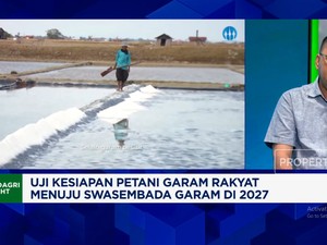 Video: Petani Garam Rakyat Minta Pemerintah Awasi Garam Impor, Kenapa?