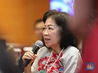 Utusan Khusus Prabowo Buka-Bukaan Soal Ekonomi Hijau RI