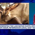 Video: Zulhas Bebaskan Impor Sapi Hidup,Apa Efeknya ke Peternak Lokal?