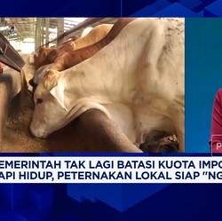 Video: Zulhas Bebaskan Impor Sapi Hidup,Apa Efeknya ke Peternak Lokal?