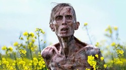 Rekomendasi 5 Film Bioskop Weekend Ini, Ada yang Tayang Terbatas!