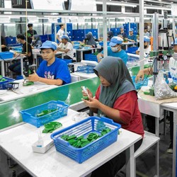 Mainan Anak Buatan RI Laku Keras di AS-Terjual Rp4,733 Triliun