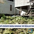 Video: Kratom Bantu Ekonomi Warga Nunukan, Tapi Regulasi Abu-Abu