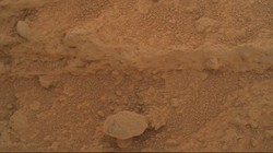 Muncul Penampakan Jamur di Mars, Tanda Kehidupan?