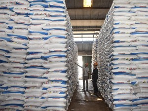 India Mau Impor 500 Ribu Ton Pupuk dari Indonesia