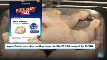 Ayam Broiler di Transmart Potong Harga!