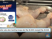 Ayam Broiler di Transmart Potong Harga!