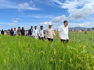 Komisi IV DPR Dorong Sawah Pokok Murah di Sumbar Jadi Program Nasional