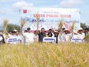 Titiek Soeharto Puji Inovasi Petani Agam Berhasil Budidaya Padi Metode SPM