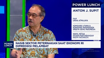 Video: Curhat Pengusaha Unggas Soal Oversupply, Harga-Daya Beli Anjlok