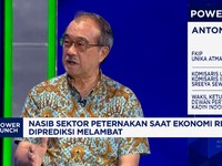 Video: Curhat Pengusaha Unggas Soal Oversupply, Harga-Daya Beli Anjlok