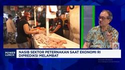 Peternak: Atasi Masalah Broker - Harga Ayam, RI Bisa Nyontek Thailand