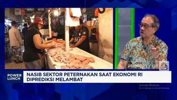 Peternak: Atasi Masalah Broker - Harga Ayam, RI Bisa Nyontek Thailand
