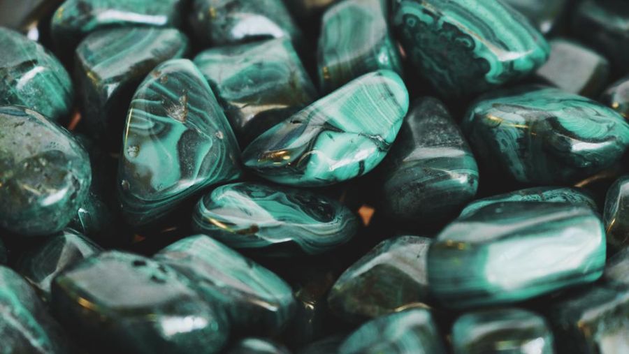 Pirus Turquoise. Pirus Turquoise. (Dok. Freepik)