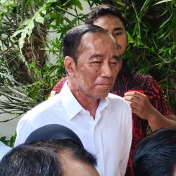 Jokowi Alami Alergi Kulit, Ini Kemungkinan Pemicunya Menurut Dokter