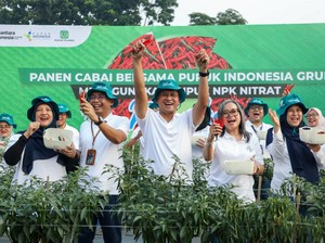 Pupuk Indonesia Kenalkan NPK Nitrat, Bawang Merah & Cabai Tahan Musim Hujan