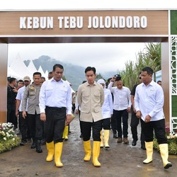 Indonesia Target Swasembada Gula Mulai 2026, Apa Strateginya?