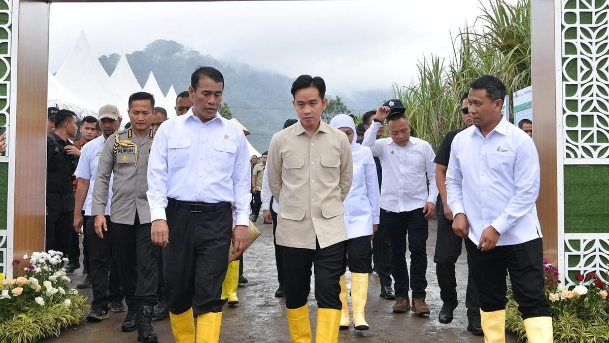 Indonesia Target Swasembada Gula Mulai 2026, Apa Strateginya?