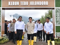 Indonesia Target Swasembada Gula Mulai 2026, Apa Strateginya?