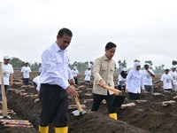 Usai Beras Sukses, Mentan Amran Genjot Produksi Gula di Tahun Depan