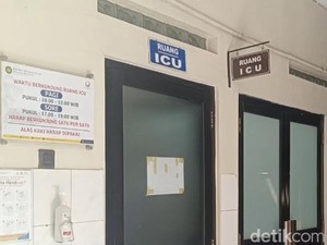 Bocah Korban Gigitan Ular Weling Masih di ICU Usai Terima 21 Antivenom