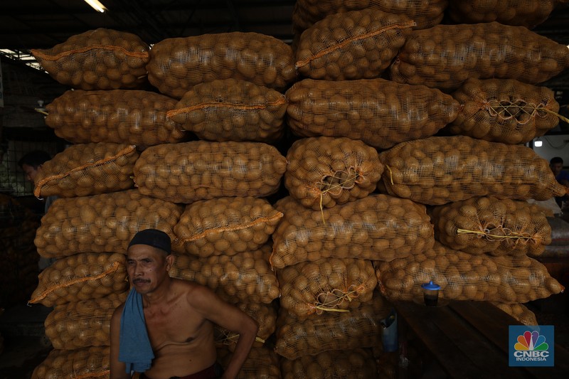 Sejumlah pekerja melakukan bongkar muat sayur dari Brebes, Jawa Tengah di Pasar Kramat Jati, Jakarta, Selasa (24/6/2025). Sejumlah pekerja melakukan bongkar muat sayur dari Brebes, Jawa Tengah di Pasar Kramat Jati, Jakarta, Selasa (24/6/2025). (CNBC Indonesia/Tri Susilo)