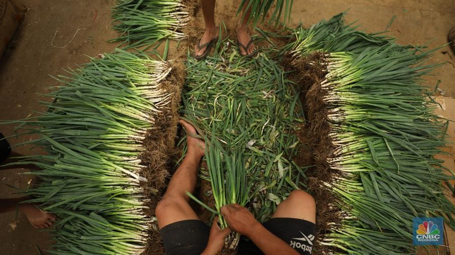 Sejumlah pekerja melakukan bongkar muat sayur dari Brebes, Jawa Tengah di Pasar Kramat Jati, Jakarta, Selasa (24/6/2025). Sejumlah pekerja melakukan bongkar muat sayur dari Brebes, Jawa Tengah di Pasar Kramat Jati, Jakarta, Selasa (24/6/2025). (CNBC Indonesia/Tri Susilo)