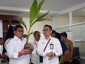 Wamentrans Dorong Budidaya Kelapa Genjah di Kawasan Transmigrasi
