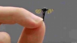 Drone Mata-mata Sebesar Nyamuk Made in China