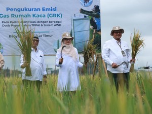Beras Biofortifikasi Skala Industri Pertama asal Banyuwangi Diluncurkan