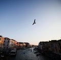 Jeff Bezos Mau Nikah, 90 Private Jet Bakal Landing di Venesia