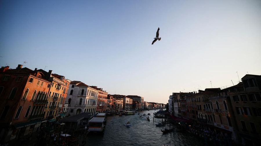 Seekor burung camar terbang di atas Grand Canal menjelang pernikahan pendiri Amazon Jeff Bezos dan Lauren Sanchez, di Venesia, Italia, 22 Juni 2025. REUTERS/Yara Nardi