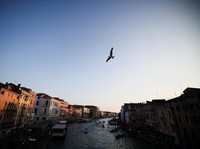 Jeff Bezos Mau Nikah, 90 Private Jet Bakal Landing di Venesia
