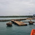 Warga Pulau Enggano Terisolasi, Hasil Panen Membusuk Tak Bisa Dijual