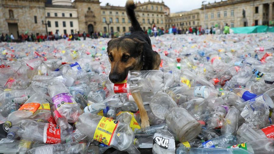 Bahan yang dapat didaur ulang terletak di Plaza de Bolivar, saat para pendaur ulang memprotes penurunan harga bahan daur ulang, di Bogota, Kolombia, 24 Juni 2025. Bahan yang dapat didaur ulang terletak di Plaza de Bolivar, saat para pendaur ulang memprotes penurunan harga bahan daur ulang, di Bogota, Kolombia, 24 Juni 2025. (REUTERS/Luisa Gonzalez)