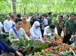 Sebut RI Produsen Kopi Terbesar ke-4 Dunia, Gibran Minta Jaga Kualitas