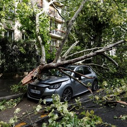 Badai Hantam Prancis, Pohon-Pohon Tumbang Menimpa Mobil