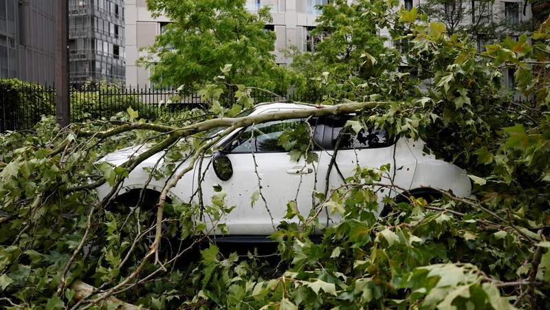Pemandangan cabang-cabang pohon yang patah di atas mobil yang rusak di jalan sehari setelah badai besar melanda Paris, Prancis, 26 Juni 2025. REUTERS/Benoit Tessier