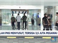 Video: Jumlah PNS Menyusut, Tersisa 3,5 Juta Pegawai